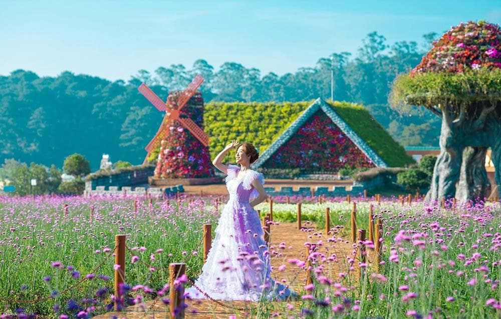 Đến làng hoa Vạn Thành bạn sẽ được đắm chìm trong sắc màu rực rỡ của nhiều loại hoa.